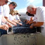 Wine Making Adventure